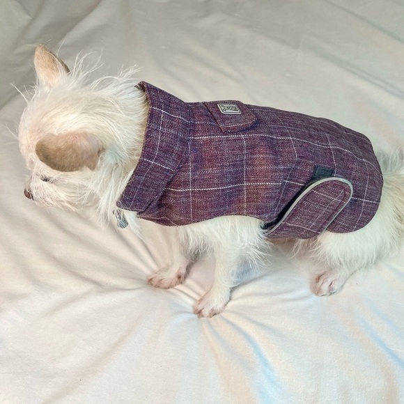 Raincoat with warm lining for small-size dog - Picture 12 of 12